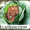 ���� ����, ������, 39 ��� - ��������� 6 ������� 2018 � ������ ���� ����������