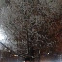 ���� ������, �������, 52 ���� - ��������� 8 ������ 2019 � ������ ���� ����������