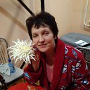 ���� ����, ������������, 64 ���� - ��������� 29 ������ 2019 � ������ ���� ����������