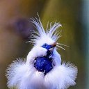 ���� �����, ������, 57 ��� - ��������� 1 ������� 2018 � ������ ���� ����������