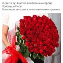  , , 49  -  27  2019   Roses