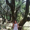 ���� ������, �����, 50 ��� - ��������� 21 ������� 2018