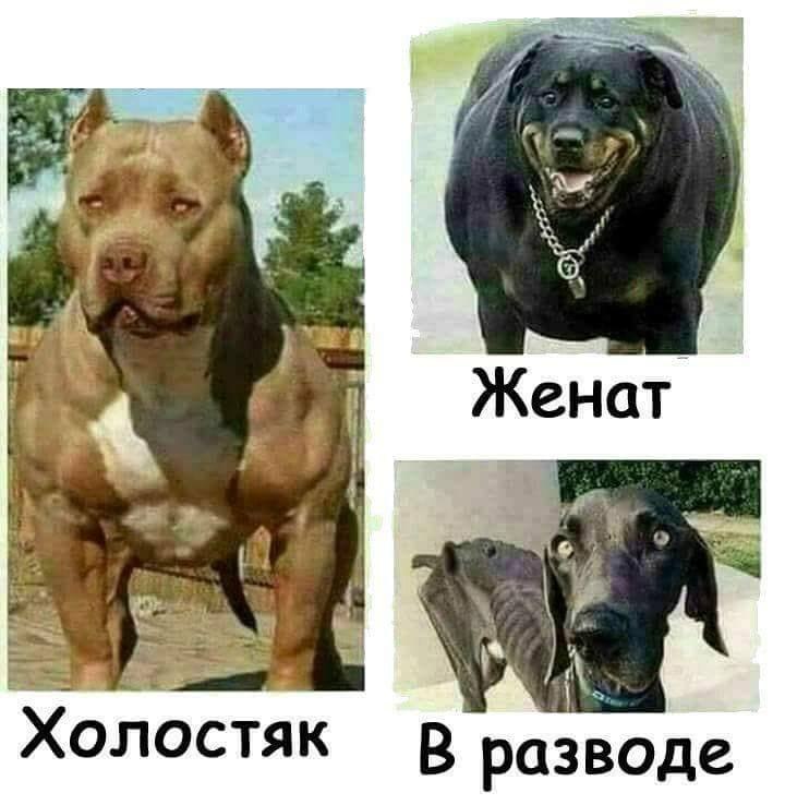 )))