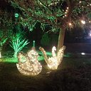  , , 66  -  20  2019   ..