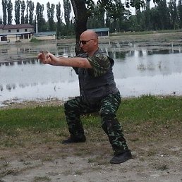 �����, �������, 54 ����