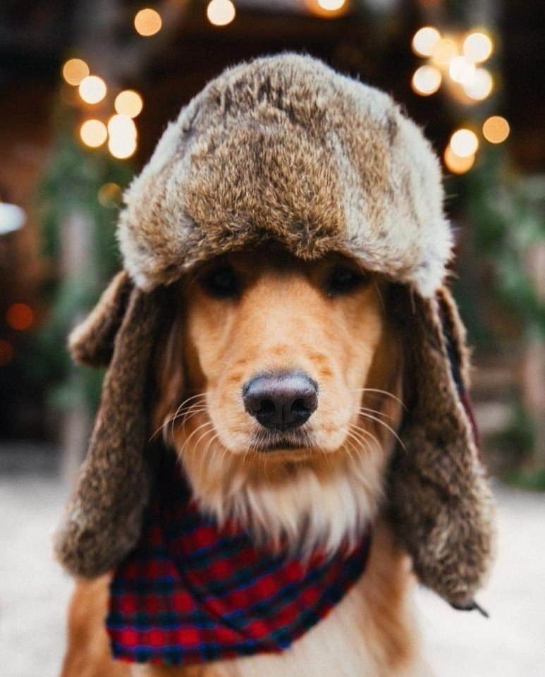   2019! - 2