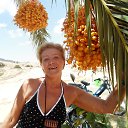 ���� ������, �����, 68 ��� - ��������� 8 ������ 2018 � ������ ���� ����������