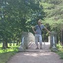  , -, 46  -  11  2019