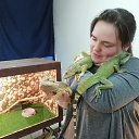 ���� �������, �������� - ��������� 17 ����� 2019 � ������ ���� ����������