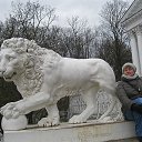  , -, 61  -  29  2018    