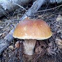 ���� �������, ������������ - ��������� 28 ������ 2018 � ������ �������