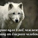 ���� ����, ��������, 26 ��� - ��������� 19 �������� 2018 � ������ ������ ��������