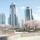 ���� ������, ������, 55 ��� - ��������� 16 ����� 2019