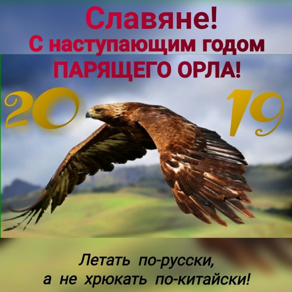   - 1  2019  12:41