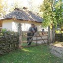  C, , 65  -  8  2018   -.   .