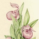 ���� Nick, �����������, 50 ��� - ��������� 28 ������� 2019 � ������ ������ ��������