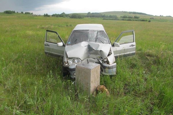 Они так долго искали друг друга в чистом поле.... )))
