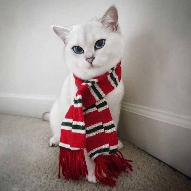   ! - 2
