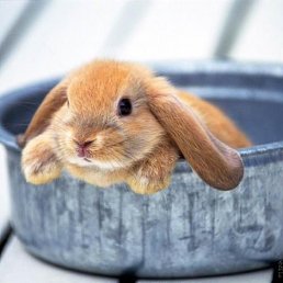 ������, �����, 26 ���