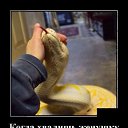 ���� ����, �������, 64 ���� - ��������� 26 ������� 2018 � ������ ������ ��������