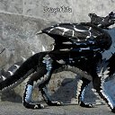 ���� ��������� Dragonita, �����-���������, 38 ��� - ��������� 2 ������� 2018 � ������ ���� ����������