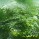 ���� ��������, ����, 55 ��� - ��������� 14 ������� 2018 � ������ ����