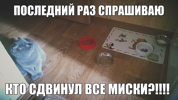    - 29  2018  16:29