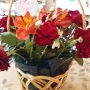 ���� �����, �������� - ��������� 1 �������� 2018