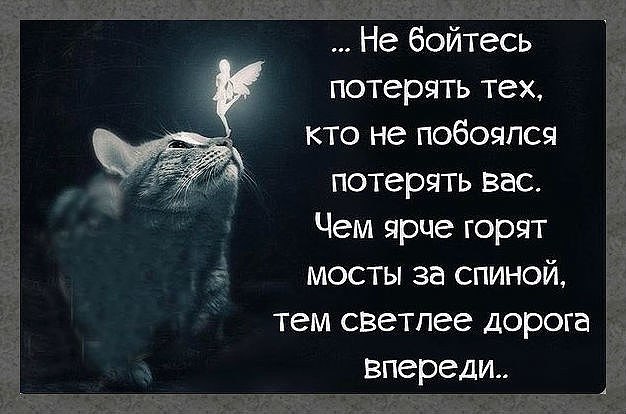  - 22  2018  04:06 - 2