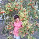 ���� �������, �����-��������, 54 ���� - ��������� 6 ����� 2019 � ������ ���� ����������