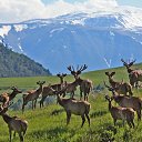  , -, 64  -  9  2019   - 