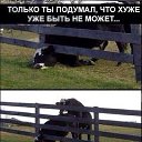 ���� ���������, ����������, 38 ��� - ��������� 23 ������ 2019 � ������ ���� ����������