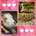 ���� A, ���� - ��������� 16 ������ 2019 � ������ ������ ��������