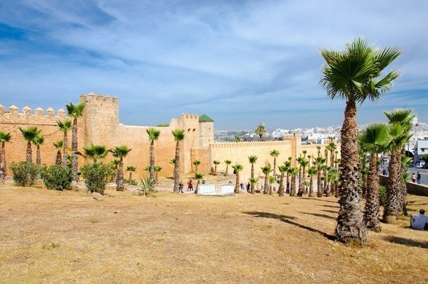 ����� ����� - ��������� �������� ������� �������