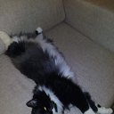 �������..... �� ������� ���� ����������