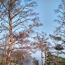 ������� ������� �� ������� �������. ����� ��������. ���� 2018.�