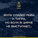 ���� �����, ������� - ��������� 14 �������� 2018 � ������ �������