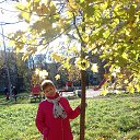���� ����, �����-��������� - ��������� 25 ������� 2018 � ������ ���� ����������