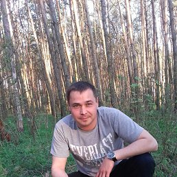 ���������, ������, 43 ����