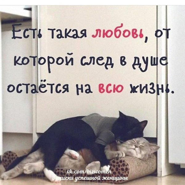 ������� �������� ������� - 15 ������� 2018 � 16:30