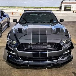 ���� ��������, �����������, 33 ���� - ��������� 4 ������� 2018