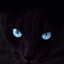  ,  , 49  -  23  2018    