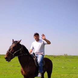 ���� �����, ������, 43 ���� - ��������� 5 ������� 2019