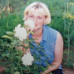 ��������� ������������, ��������, 51 ���