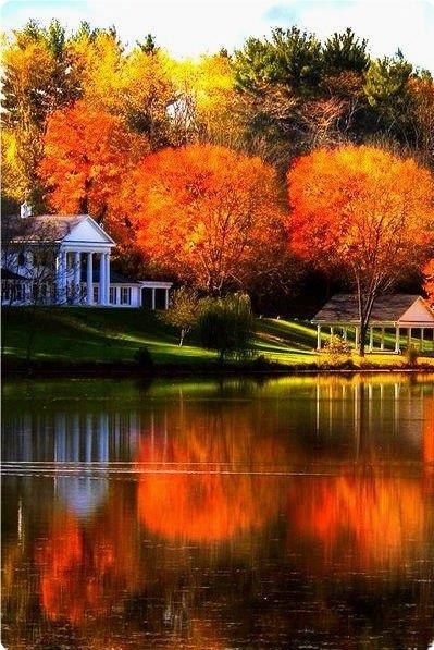 ������� | �������� | ����-����� - 8 ������ 2018 � 16:38 - 4