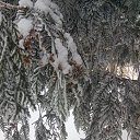 ���� �����, �������, 56 ��� - ��������� 5 ������� 2019 � ������ �������� �����