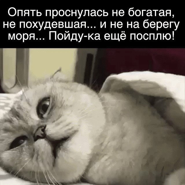 ☆������ �����☆ - 17 ������� 2018 � 16:34