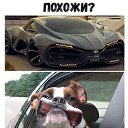���� ����, ������, 46 ��� - ��������� 17 ������ 2018 � ������ ���� ����������