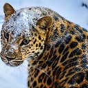 ���� ������, ����������� - ��������� 7 ������ 2018 � ������ ���� ����������