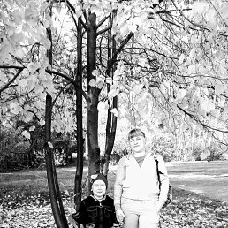 �����, ��������, 36 ���